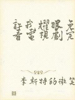 许我耀眼免费观看电视剧完整版