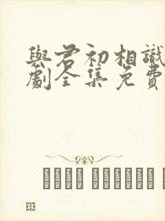 与君初相识电视剧全集免费播放