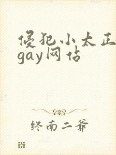 侵犯小太正裸体gay网站封面