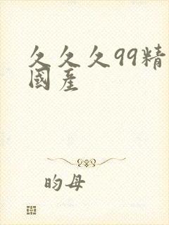 久久久99精品国产封面