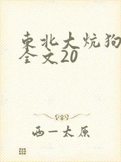 东北大炕狗儿娘全文20