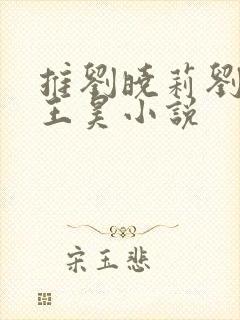 推刘晓莉刘亦菲王昊小说封面