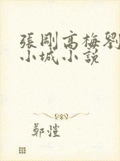 张刚高梅刘阿姨小城小说