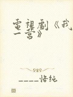 电视剧《我的特一营》