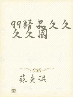 99精品久久久久久国封面