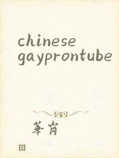 chinesegayprontube