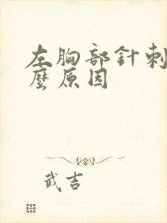 左胸部针刺痛什么原因