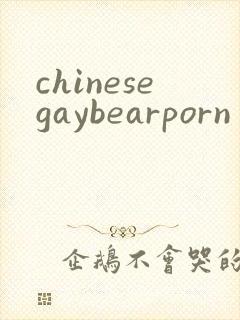 chinesegaybearporn
