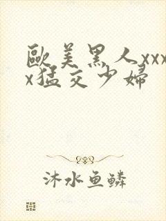 欧美黑人xxxx猛交少妇