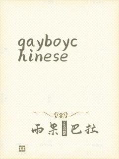 gayboychinese