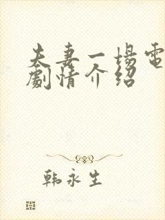 夫妻一场电视剧剧情介绍封面