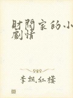财阀家的小儿子剧情