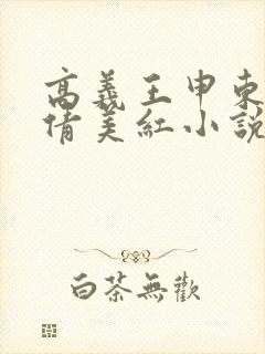 高义王申东子孙倩美红小说