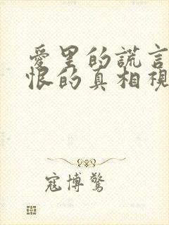 爱里的谎言,仇恨的真相视频封面