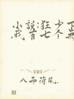 小说:狂少下山,我有七个无敌师父