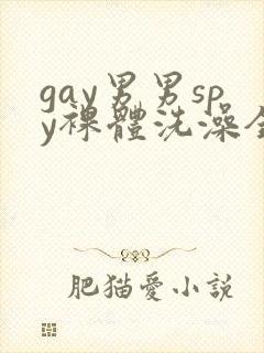 gay男男spy裸体洗澡全过程