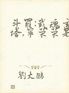 斗罗:武魂玄黄塔,宁荣荣是我妹