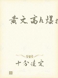 黄文高h爆操h