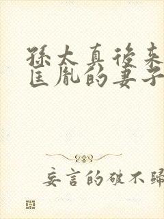 孙太真后来是赵匡胤的妻子吗