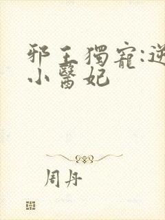 邪王独宠:逆天小医妃