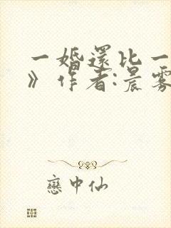 一婚还比一婚高》作者:晨雾的光封面