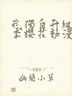 我独自升级第一季樱花动漫