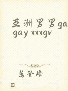 亚洲男男gay gay xxxgv