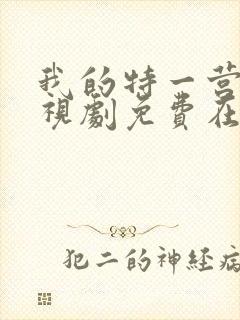 我的特一营 电视剧免费在线观看