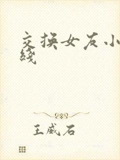 交换女友小说在线