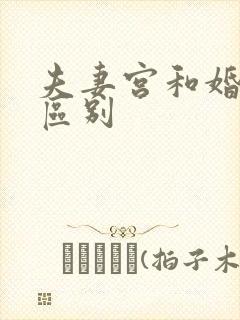 夫妻宫和婚姻宫区别封面