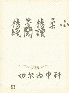 杨晨杨柔小说在线阅读