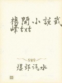 杨开小说武炼巅峰txt