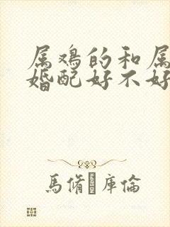 属鸡的和属龙的婚配好不好