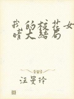 我的校花女友苏晴大结局封面