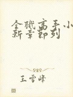 全职高手小说最新章节列