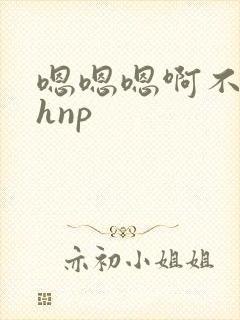 嗯嗯嗯啊不要高hnp