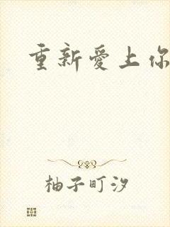 重新爱上你结局