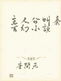 主人公叫秦初的玄幻小说