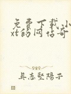 免费下载小说txt的网站奇书网