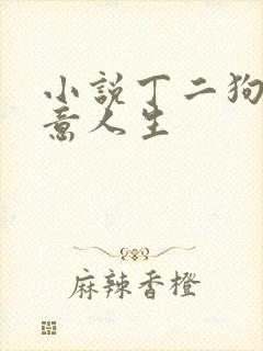 小说丁二狗的肆意人生