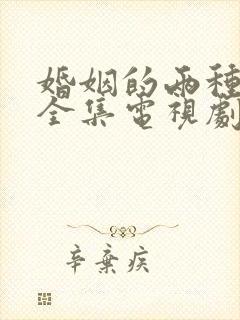 婚姻的两种猜想全集电视剧免费观看