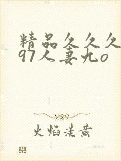 精品久久久久久97人妻九o