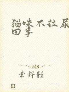 猫咪不拉尿怎么回事