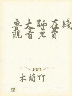 鲁大师在线播放观看免费