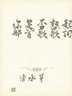 你是否想起我是哪首歌歌词