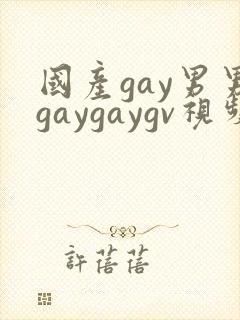 国产gay男男gaygaygv视频