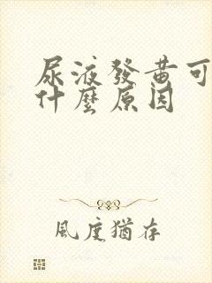 尿液发黄可能是什么原因