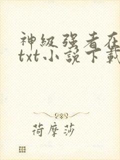 神级强者在都市txt小说下载