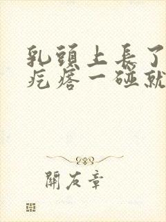 乳头上长了个肉疙瘩一碰就疼怎么回事封面