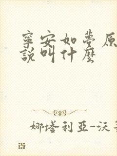宁安如梦原著小说叫什么